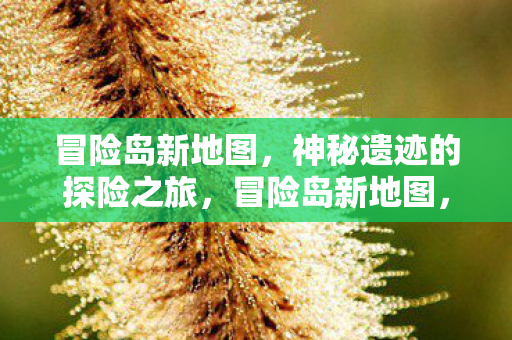 冒险岛新地图,神秘遗迹的探险之旅,冒险岛新地图,神秘遗迹探险之旅开启 冒险岛新地图,神秘遗迹的探险之旅,冒险岛新地图,神秘遗迹探险之旅开启