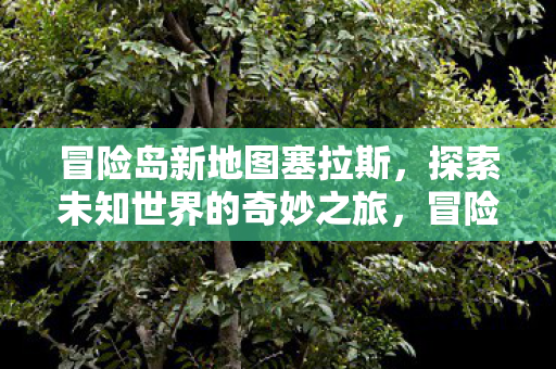 冒险岛新地图塞拉斯,探索未知世界的奇妙之旅,冒险岛新地图塞拉斯,探索未知世界的奇妙之旅 冒险岛新地图塞拉斯,探索未知世界的奇妙之旅,冒险岛新地图塞拉斯,探索未知世界的奇妙之旅