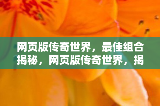 网页版传奇世界，最佳组合揭秘，网页版传奇世界，揭秘最佳组合