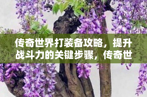 传奇世界打装备攻略，提升战斗力的关键步骤，传奇世界打装备攻略，提升战斗力的关键步骤
