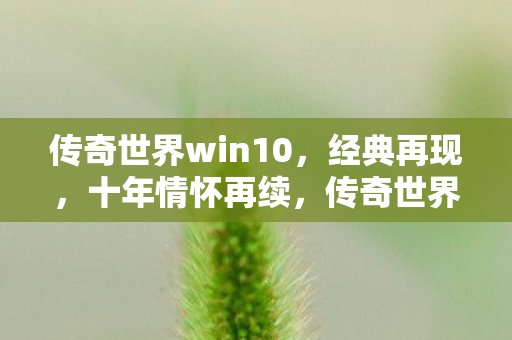 传奇世界win10，经典再现，十年情怀再续，传奇世界win10，经典再现，十年情怀再续