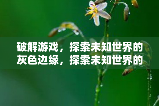 破解游戏,探索未知世界的灰色边缘,探索未知世界的灰色边缘,破解游戏揭秘 破解游戏,探索未知世界的灰色边缘,探索未知世界的灰色边缘,破解游戏揭秘