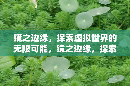 镜之边缘,探索虚拟世界的无限可能,镜之边缘,探索虚拟世界的无限可能 镜之边缘,探索虚拟世界的无限可能,镜之边缘,探索虚拟世界的无限可能