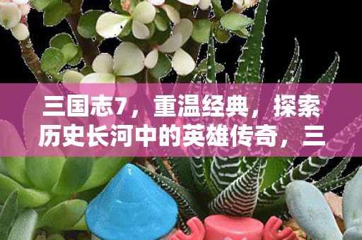 三国志7，重温经典，探索历史长河中的英雄传奇，三国志7，重温经典，探索历史长河中的英雄传奇