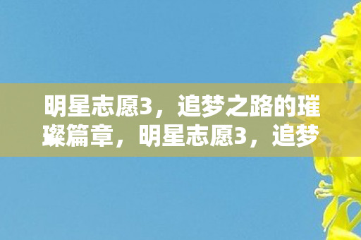 明星志愿3,追梦之路的璀璨篇章,明星志愿3,追梦之路的璀璨篇章 明星志愿3,追梦之路的璀璨篇章,明星志愿3,追梦之路的璀璨篇章