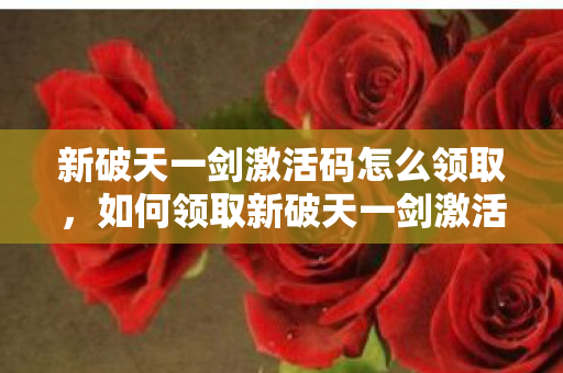 新破天一剑激活码怎么领取图片