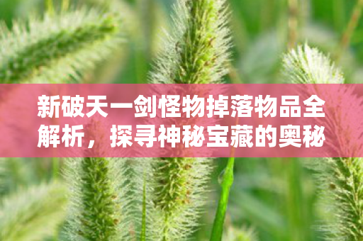 新破天一剑怪物掉落物品全解析图片
