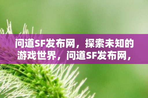 探索未知的游戏世界之旅图片