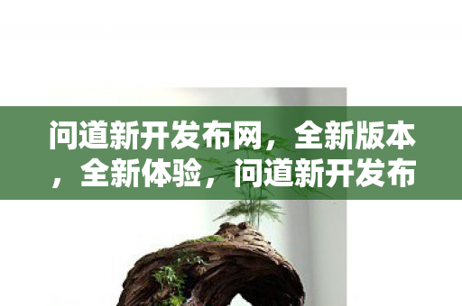 问道新开发布网图片