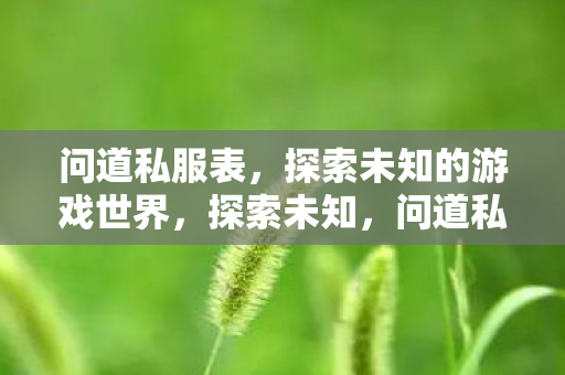 问道私服表带你领略游戏世界的奥秘图片