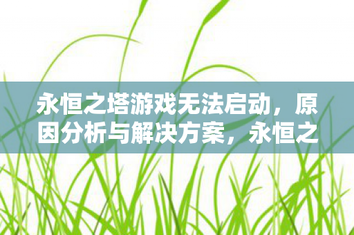 永恒之塔游戏无法启动图片