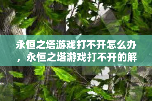 永恒之塔游戏打不开的解决方法图片