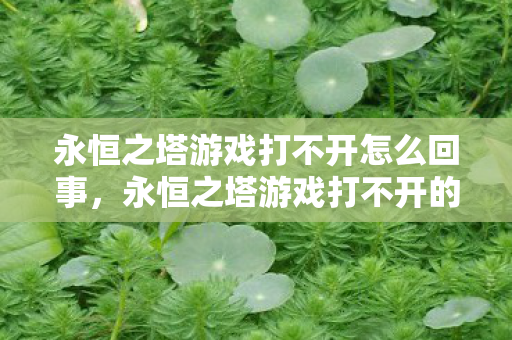 永恒之塔游戏打不开的解决方法图片