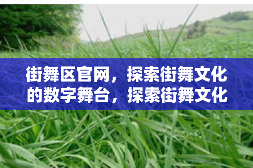 街舞区官网，探索街舞文化的数字舞台，探索街舞文化的数字舞台，街舞区官网