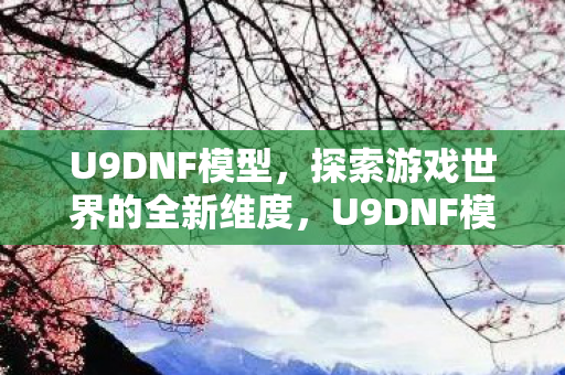 U9DNF模型，探索游戏世界的全新维度，U9DNF模型，探索游戏世界的全新维度