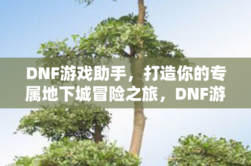 DNF游戏助手,打造你的专属地下城冒险之旅,DNF游戏助手,打造专属地下城冒险之旅 DNF游戏助手,打造你的专属地下城冒险之旅,DNF游戏助手,打造专属地下城冒险之旅