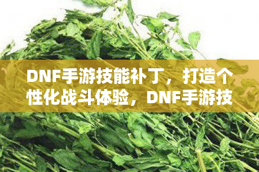 DNF手游技能补丁,打造个性化战斗体验,DNF手游技能补丁,打造个性化战斗体验 DNF手游技能补丁,打造个性化战斗体验,DNF手游技能补丁,打造个性化战斗体验