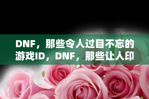 DNF,那些令人过目不忘的游戏ID,DNF,那些让人印象深刻的玩家ID DNF,那些令人过目不忘的游戏ID,DNF,那些让人印象深刻的玩家ID