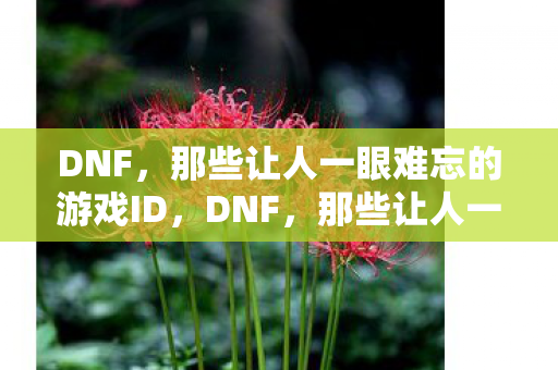DNF,那些让人一眼难忘的游戏ID,DNF,那些让人一眼难忘的游戏ID大盘点 DNF,那些让人一眼难忘的游戏ID,DNF,那些让人一眼难忘的游戏ID大盘点