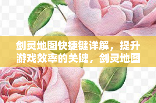 剑灵地图快捷键详解,提升游戏效率的关键,剑灵地图快捷键全解析,提升游戏效率的不二法门 剑灵地图快捷键详解,提升游戏效率的关键,剑灵地图快捷键全解析,提升游戏效率的不二法门