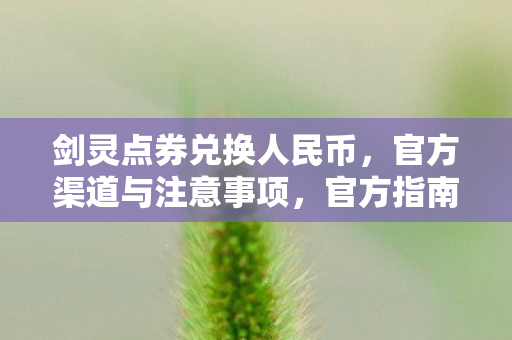 安全兑换剑灵点券为人民币的步骤与注意事项图片