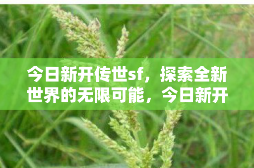 今日新开传世sf,探索全新世界的无限可能,今日新开传世sf,探索全新世界的无限可能 今日新开传世sf,探索全新世界的无限可能,今日新开传世sf,探索全新世界的无限可能