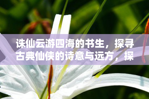 诛仙云游四海的书生,探寻古典仙侠的诗意与远方,探寻古典仙侠诗意与远方的书生之旅 诛仙云游四海的书生,探寻古典仙侠的诗意与远方,探寻古典仙侠诗意与远方的书生之旅