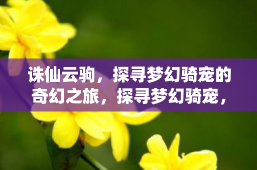 诛仙云驹,探寻梦幻骑宠的奇幻之旅,探寻梦幻骑宠,诛仙云驹的奇幻之旅 诛仙云驹,探寻梦幻骑宠的奇幻之旅,探寻梦幻骑宠,诛仙云驹的奇幻之旅
