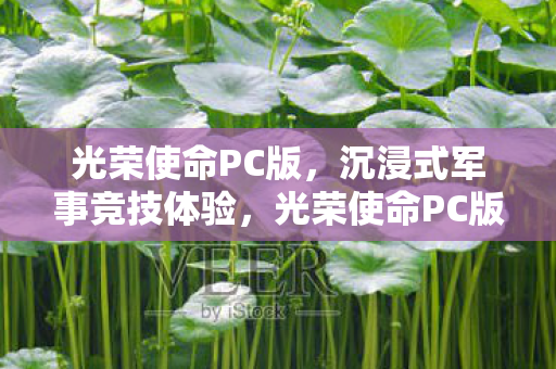 光荣使命PC版,沉浸式军事竞技体验,光荣使命PC版,沉浸式军事竞技体验 光荣使命PC版,沉浸式军事竞技体验,光荣使命PC版,沉浸式军事竞技体验