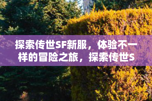 探索传世SF新服，体验不一样的冒险之旅，探索传世SF新服，开启不一样的冒险之旅