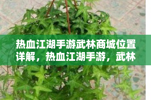 热血江湖手游武林商城位置详解图片