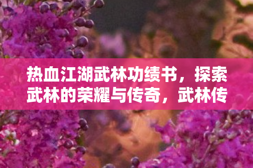 探索武林的荣耀与传奇图片