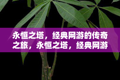 永恒之塔,经典网游的传奇之旅,永恒之塔,经典网游的传奇之旅 永恒之塔,经典网游的传奇之旅,永恒之塔,经典网游的传奇之旅