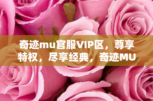 奇迹mu官服VIP区，尊享特权，尽享经典，奇迹MU官服VIP区，尊享特权，重温经典游戏