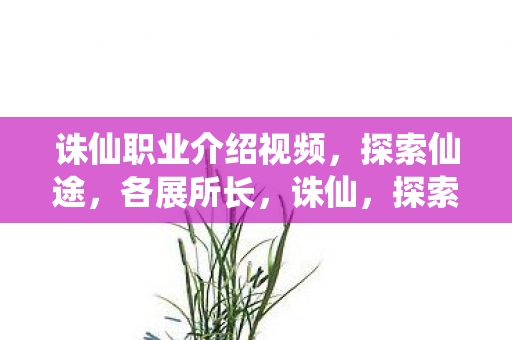 诛仙职业介绍视频,探索仙途,各展所长,诛仙,探索仙途,各展所长,揭秘职业特色 诛仙职业介绍视频,探索仙途,各展所长,诛仙,探索仙途,各展所长,揭秘职业特色