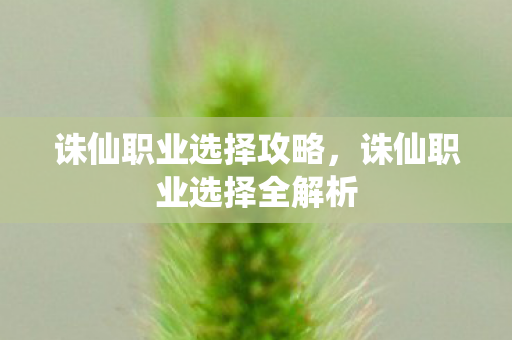 诛仙职业选择攻略,诛仙职业选择全解析 诛仙职业选择攻略,诛仙职业选择全解析