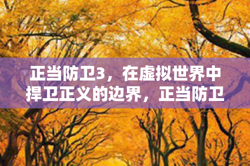 正当防卫3,在虚拟世界中捍卫正义的边界,正当防卫3,在虚拟世界中探索正义的边界 正当防卫3,在虚拟世界中捍卫正义的边界,正当防卫3,在虚拟世界中探索正义的边界
