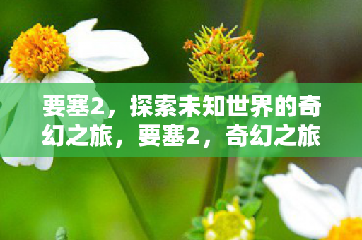 要塞2,探索未知世界的奇幻之旅,要塞2,奇幻之旅探索未知世界 要塞2,探索未知世界的奇幻之旅,要塞2,奇幻之旅探索未知世界