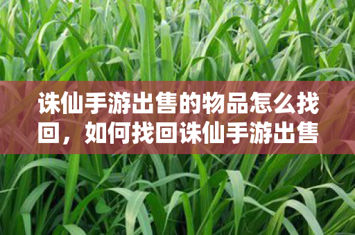 诛仙手游出售的物品怎么找回,如何找回诛仙手游出售的物品? 诛仙手游出售的物品怎么找回,如何找回诛仙手游出售的物品?