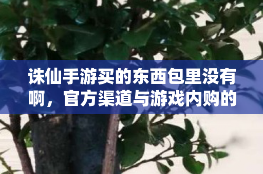 诛仙手游买的东西包里没有啊,官方渠道与游戏内购的正确使用指南,官方渠道与游戏内购的正确使用指南,解决诛仙手游购买物品未到账问题 诛仙手游买的东西包里没有啊,官方渠道与游戏内购的正确使用指南,官方渠道与游戏内购的正确使用指南,解决诛仙手游购买物品未到账问题