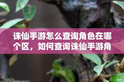 诛仙手游怎么查询角色在哪个区,如何查询诛仙手游角色所在区 诛仙手游怎么查询角色在哪个区,如何查询诛仙手游角色所在区
