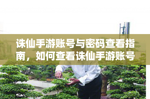 诛仙手游账号与密码查看指南图片