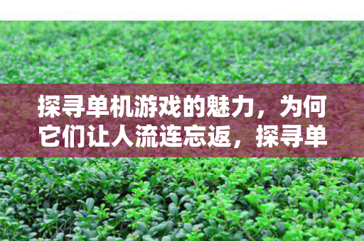 探寻单机游戏的魅力,为何它们让人流连忘返,探寻单机游戏的魅力,为何让人流连忘返? 探寻单机游戏的魅力,为何它们让人流连忘返,探寻单机游戏的魅力,为何让人流连忘返?
