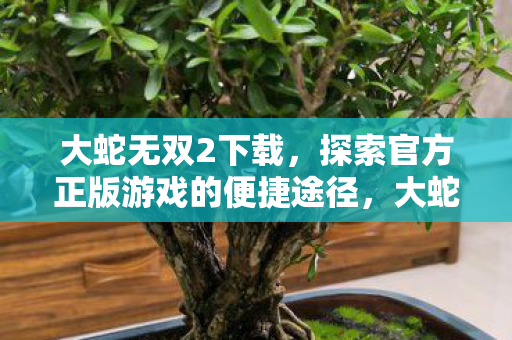 大蛇无双2下载,探索官方正版游戏的便捷途径,大蛇无双2官方正版下载,便捷途径探索 大蛇无双2下载,探索官方正版游戏的便捷途径,大蛇无双2官方正版下载,便捷途径探索