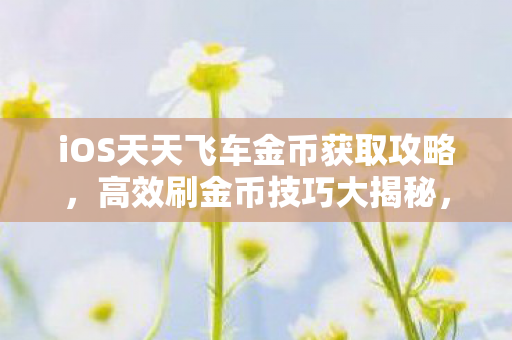 iOS天天飞车金币获取攻略，高效刷金币技巧大揭秘，天天飞车iOS版高效刷金币攻略，大揭秘！