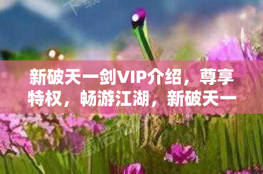 新破天一剑VIP介绍,尊享特权,畅游江湖,新破天一剑VIP特权全解析,尊享特权,畅游江湖 新破天一剑VIP介绍,尊享特权,畅游江湖,新破天一剑VIP特权全解析,尊享特权,畅游江湖