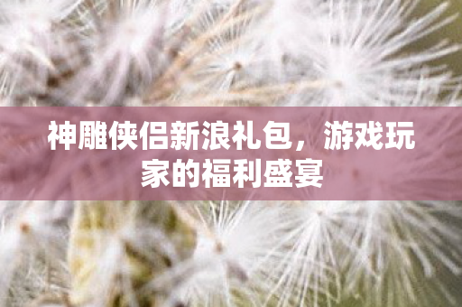 天龙八部手游在哪里可以领取礼包,天龙八部手游礼包领取攻略 天龙八部手游在哪里可以领取礼包,天龙八部手游礼包领取攻略