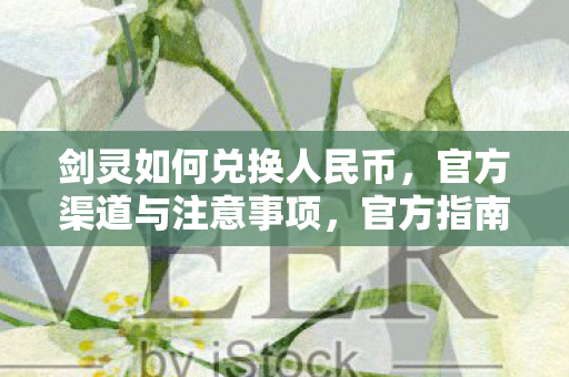 剑灵如何兑换人民币,官方渠道与注意事项,官方指南,剑灵游戏内货币兑换人民币步骤及注意事项 剑灵如何兑换人民币,官方渠道与注意事项,官方指南,剑灵游戏内货币兑换人民币步骤及注意事项