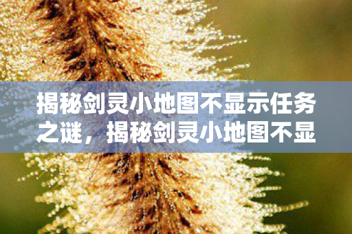 揭秘剑灵小地图不显示任务之谜图片