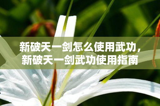 新破天一剑怎么使用武功图片